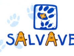 Salavet - Cabinet Veterinar